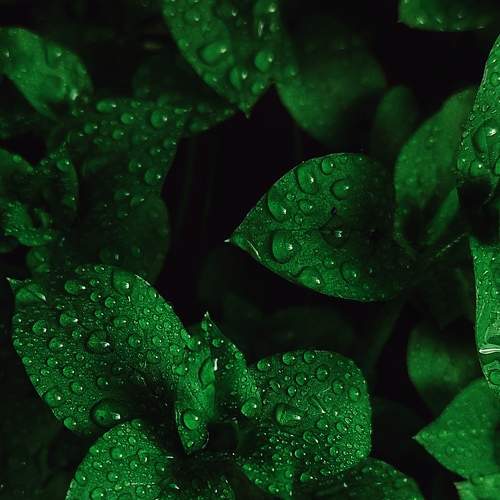 Photo #8037083