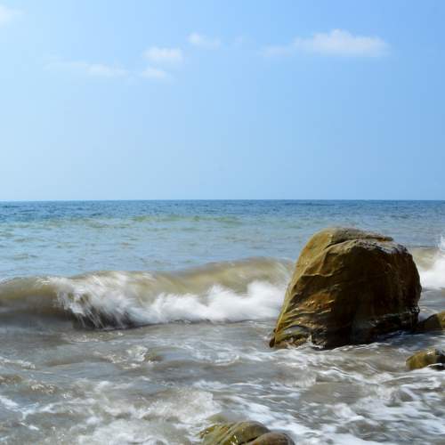 Photo #8037613