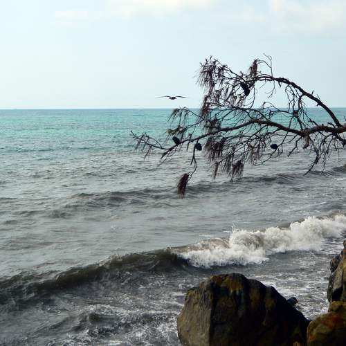 Photo #8037614