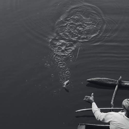 Photo #8038062