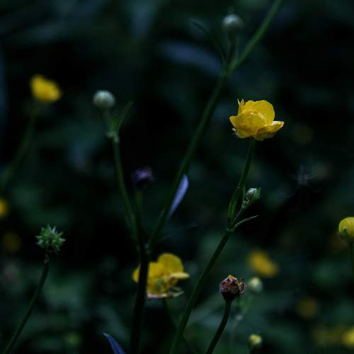 Photo #8038107