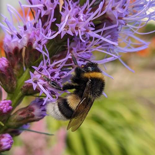Photo #8038517