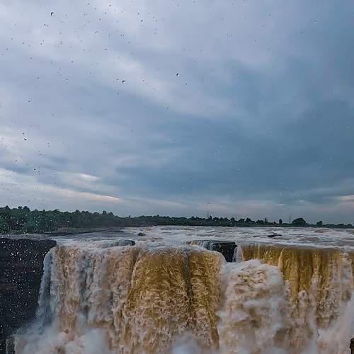 Photo #8038538