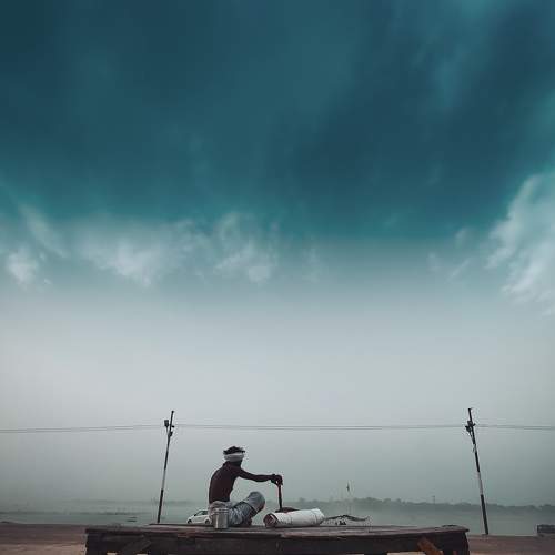 Photo #8038559