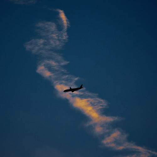 Photo #8038951