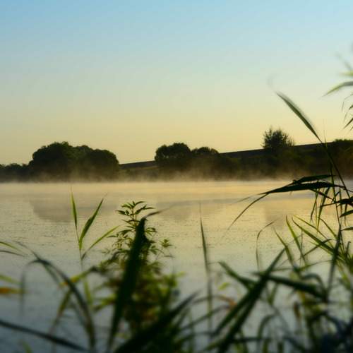Photo #8039034