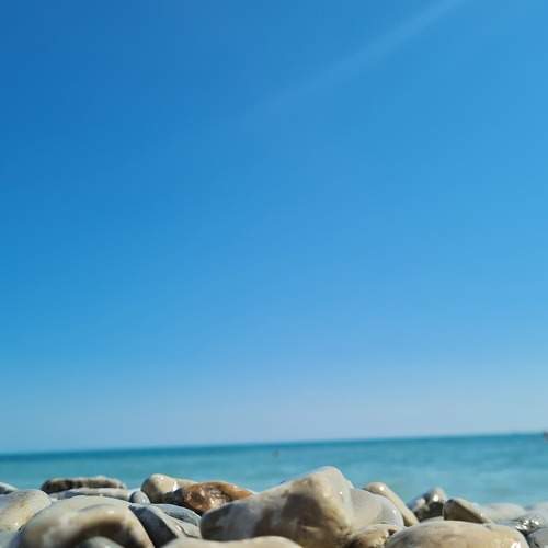 Photo #8039209