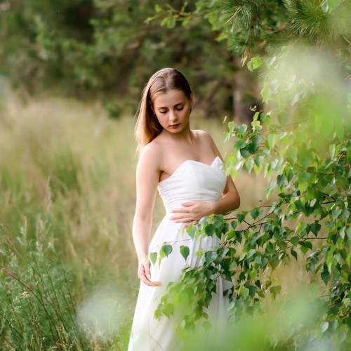 Photo #8039575