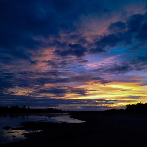 Photo #8039725