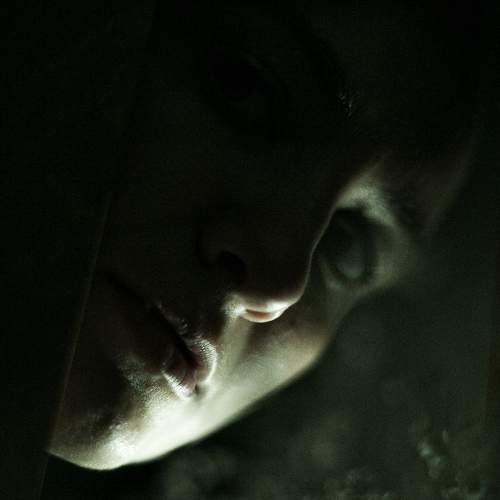 Photo #8040096