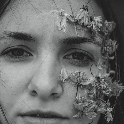 Photo #8040098