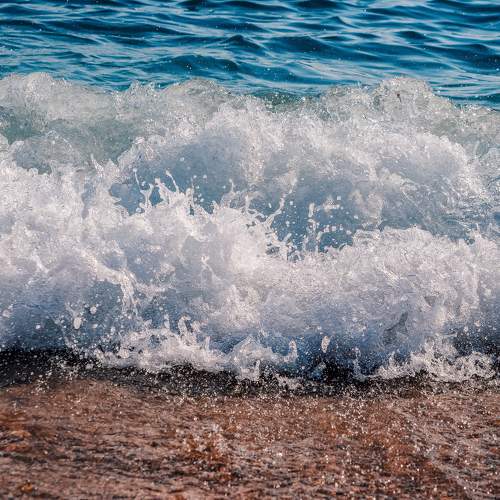 Photo #8040118