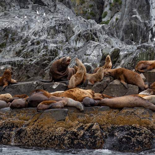 Photo #8040243