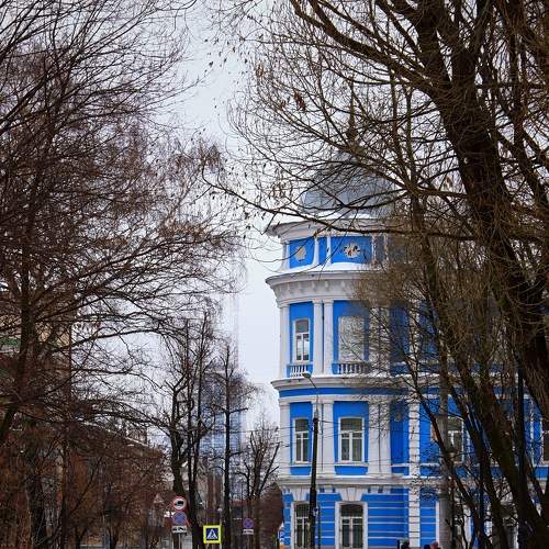 Photo #8040622