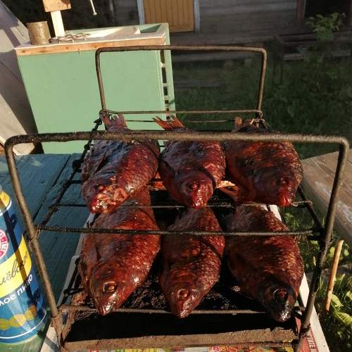 Photo #8040814