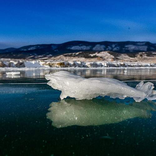 Photo #8041542