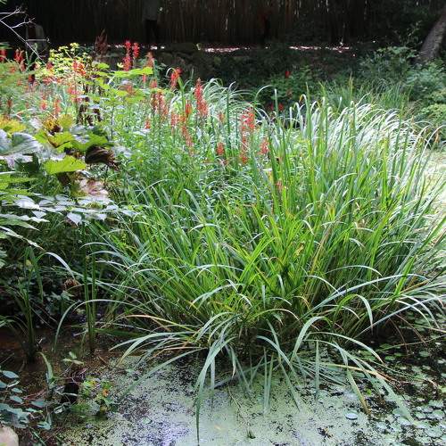 Photo #8042262