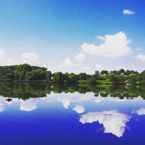 Photo #8043048