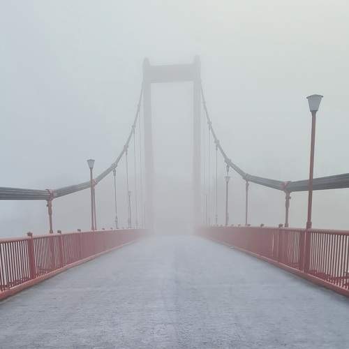 Photo #8043305