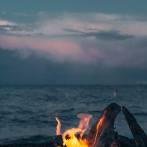 Photo #8043357