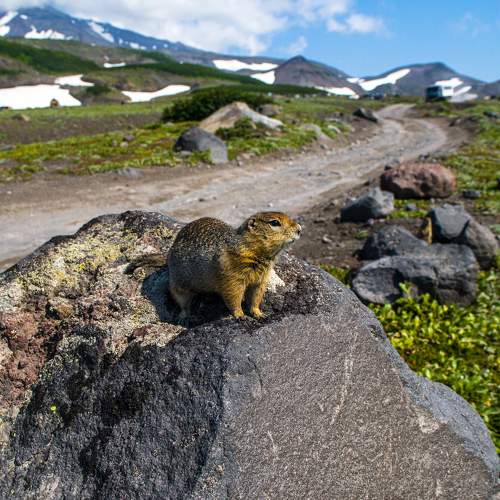 Photo #8043657