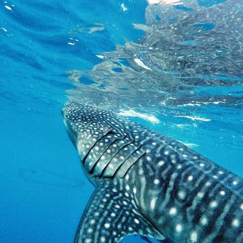 Photo #8043951