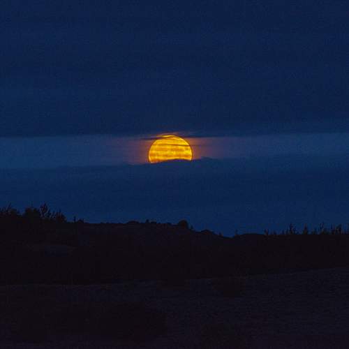 Photo #8044133
