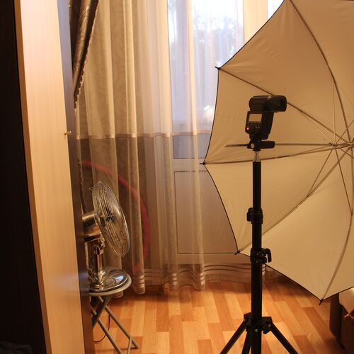 Photo #8044701