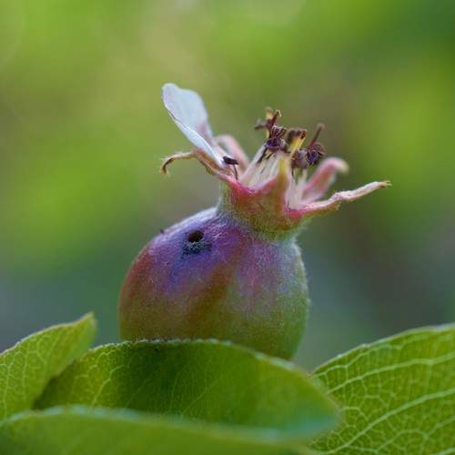 Photo #8045153