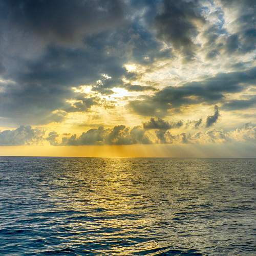 Photo #8045570