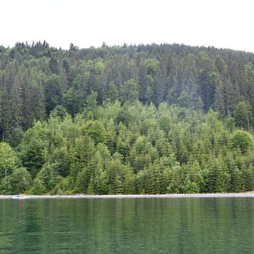 Photo #8045709