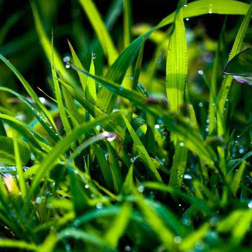 Photo #8045756