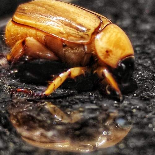 Photo #8045774