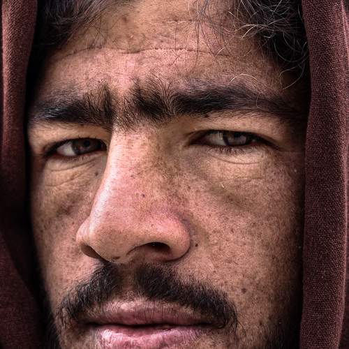 Photo #8045864
