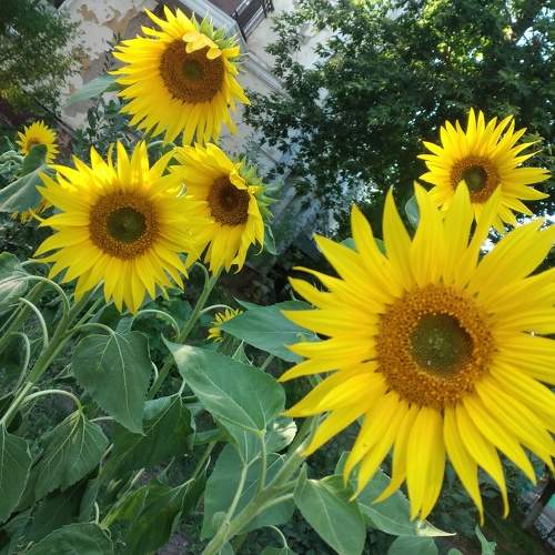Photo #8045995