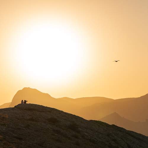 Photo #8046311