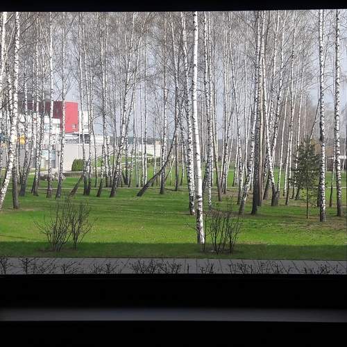 Photo #8046363