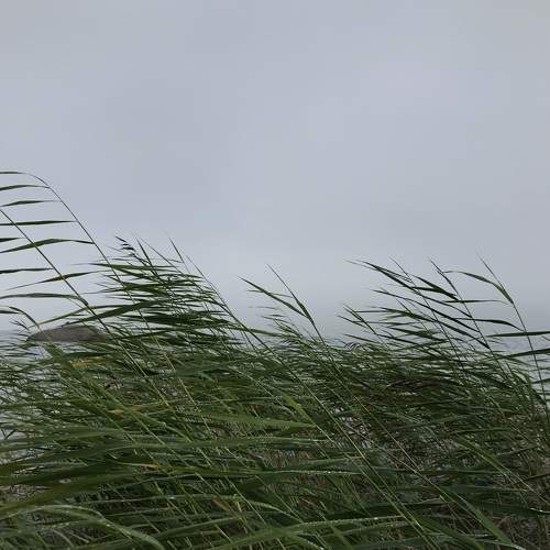Photo #8046600