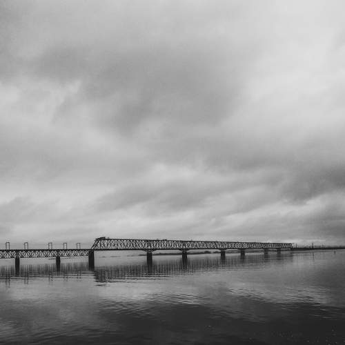 Photo #8046773