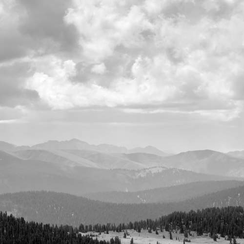 Photo #8046858