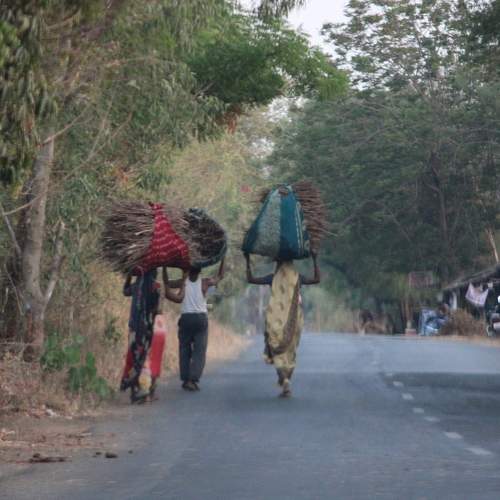 Photo #8047517
