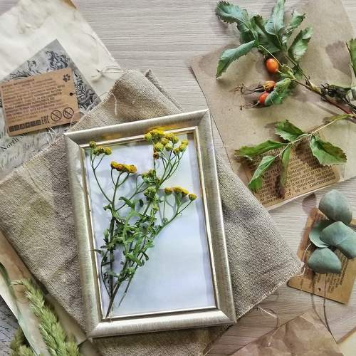 Photo #8048901