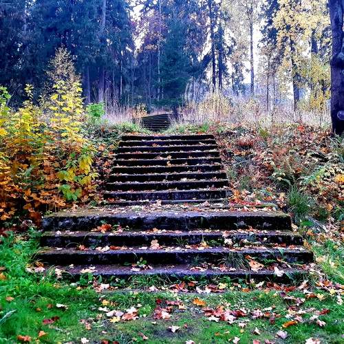 Photo #8049228