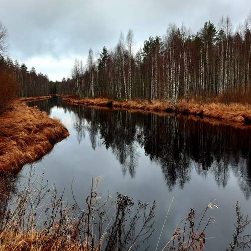 Photo #8049243