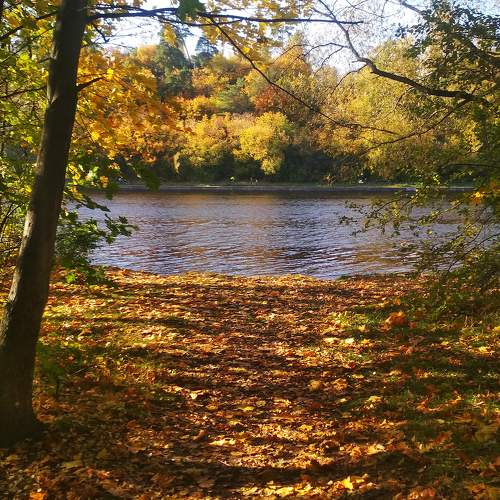 Photo #8049272