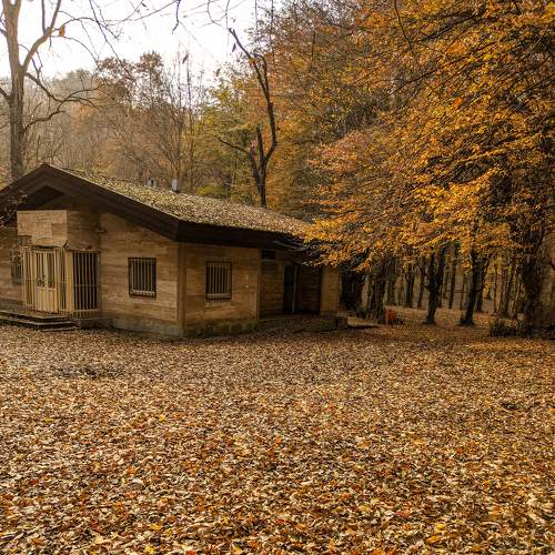 Photo #8049365
