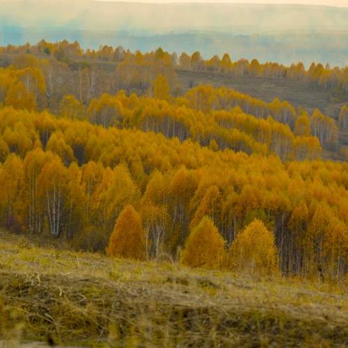 Photo #8049707