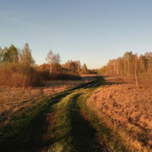 Photo #8050141