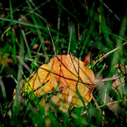 Photo #8050217