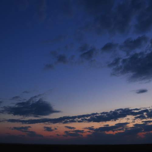 Photo #8051290